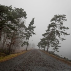 Road in mist