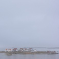 Houses in mist